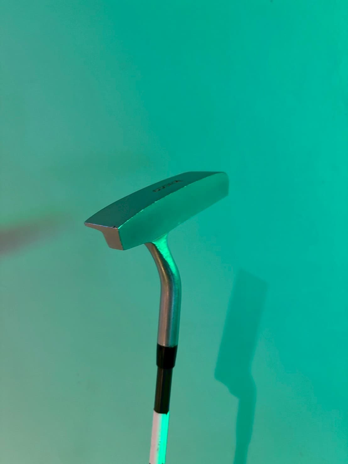 Kasco (Putter, Mallet)